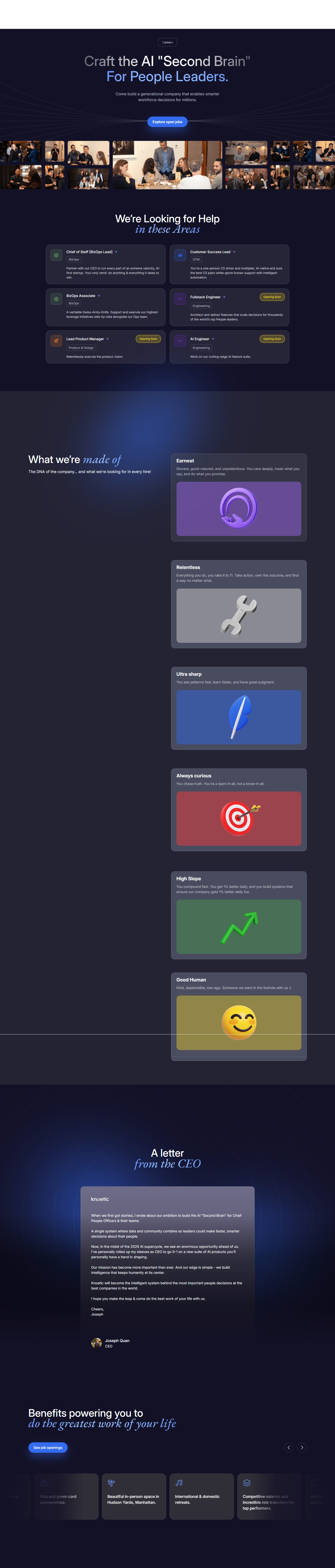 Landing Page @Knoetic